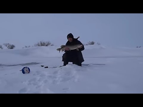 Видео: Эти места , всегда радуют крупной щукой ! Рыбалка с комфортом !