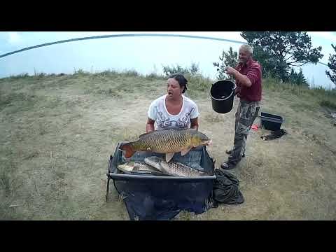 Видео: Рыбалка на Оби на сазана, конец июля 2022