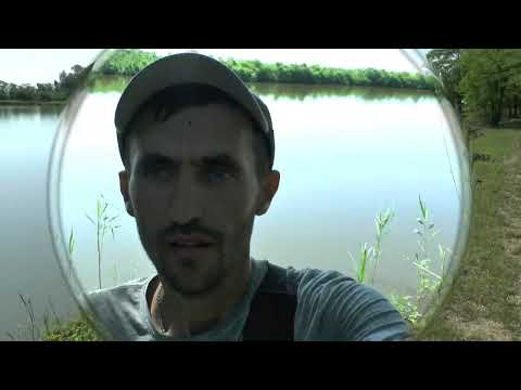 Видео: АУШЕДОВСКИЕ ПРУДЫ 04 07 2022 года