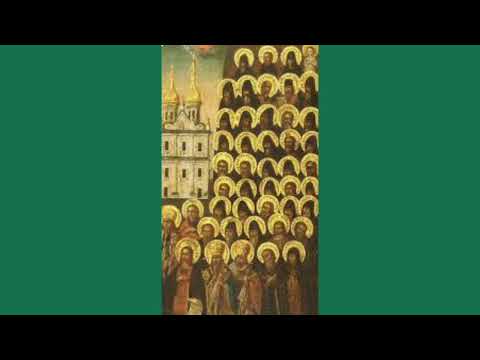 Видео: чтение КАНОНА преподобным отцам  ПЕЧЕРСКИМ в ДАЛЬНИХ пещерах   почивающих.  @Птица-Чтица