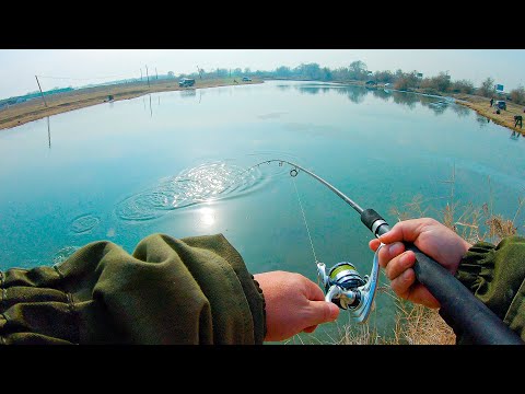 Видео: РЫБАЛКА БЛИЗ АЛМАТЫ/ озеро у кубы/ форель сошла с ума