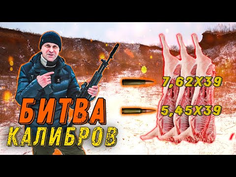 Видео: Тест на пробитие. 7,62 или 5,45?  #калашников #russianweapons #оружие #карабин #калибр #hunting