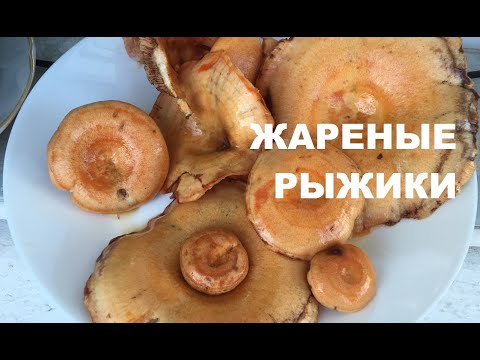 Видео: Жареные рыжики: очень просто и очень вкусно!