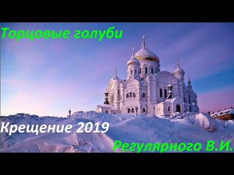 Видео: Торцовые Голуби БК Регулярного В.И. Крещение 2019