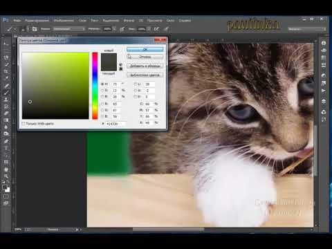 Видео: Урок 11. Отделяем от фона, рисуем шерстку