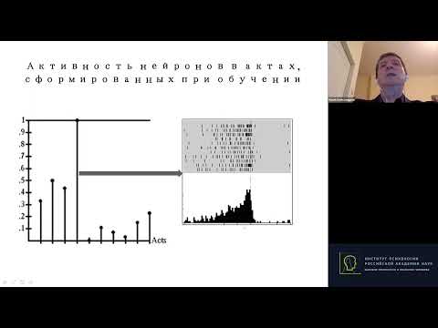 Видео: Александров Ю.И. Целенаправленный индивид и его проактивный нейрон