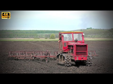 Видео: Трактор Т-4А Алтай с двумя культиваторами КПС-4 - ностальгия по советским временам 2020