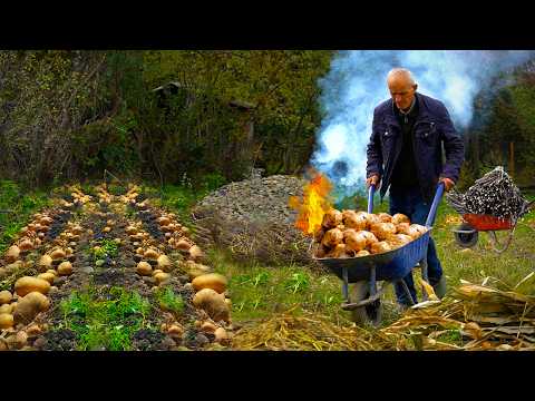 Видео: Необычный овощ под землей — топинамбур | ДОКУМЕНТАЛЬНЫЙ ФИЛЬМ | Горная деревня