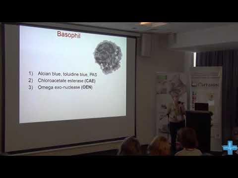 Видео: Острые хронические лейкозы у собак и кошек  1 часть