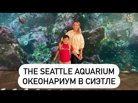 Видео: Seattle Aquarium-Океанариум Сиэтла.