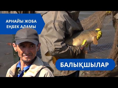 Видео: «Еңбек адамы». Арнайы жоба | Балықшылар