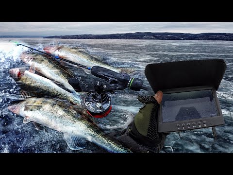 Видео: ОПУСТИЛ КАМЕРУ ПОД ЛЁД В СУДАКОВЫЕ КОРЯГИ! Ловля судака зимой 2022! Зимняя рыбалка на судака