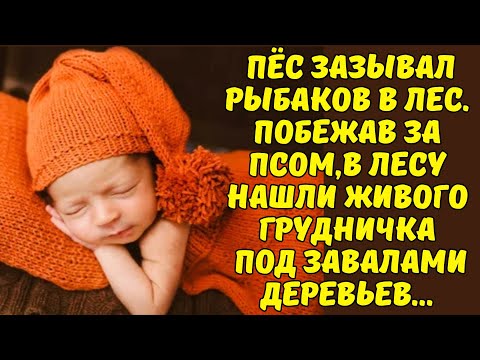 Видео: МОЖЕТ МЫ ЕЁ УДОЧЕРИТЬ ХОТИМ