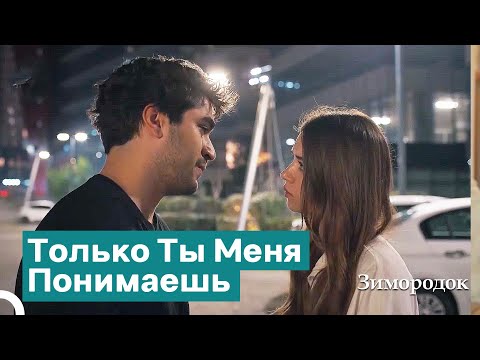 Видео: Ферит Сошёл С Ума От Тоски По Сейран | Зимородок