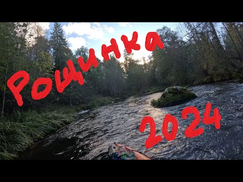 Видео: Рощинка 2024