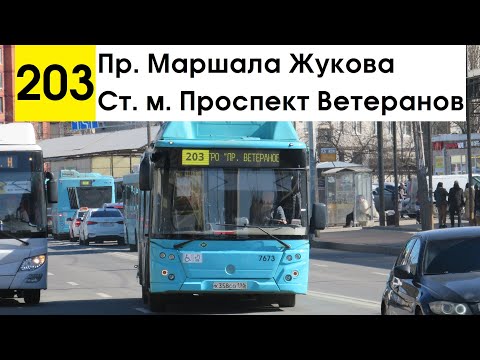 Видео: Автобус 203 "Ст. м. "Проспект Ветеранов" - пр. Маршала Жукова"