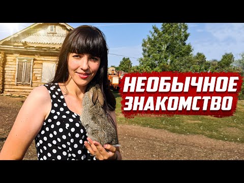 Видео: К чему привело необычное знакомство | Оренбургская обл, Бугурусланский р-он, д.Григорьевка