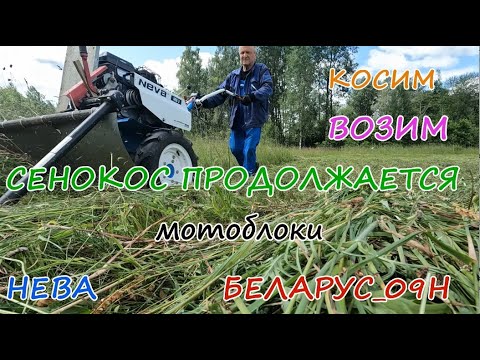 Видео: Сенокос продолжается.Косим,сушим,возим.