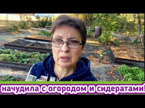 Видео: Мой чуднОй огород, про сидераты, скважину и развалины. Осенний букет для салата. Жизнь в деревне