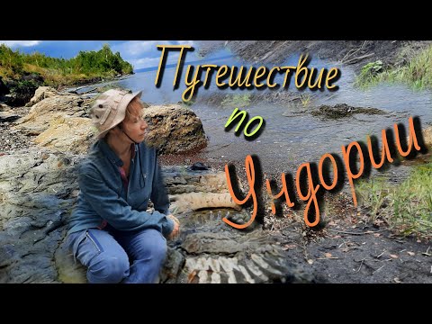 Видео: Окаменелости и минералы Ульяновской области. Ундоры, Городищи, Долина Кристаллов, Сланцевый рудник.