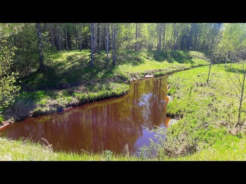 Видео: Ночной коп и весенняя рыбалка на р.Тигода