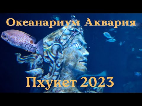 Видео: Океанариум Аквария в Пхукете Тайланд 2023