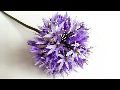 Видео: ABC TV | Как сделать бумажный цветок Allium из крепированной бумаги - учебник по ремеслу