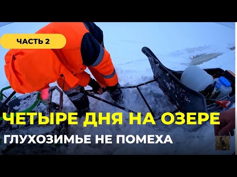 Видео: НА ОЗЕРО ВОЖЕ В ЯНВАРЕ. ГЛУХОЗИМЬЕ. ЧАСТЬ 2. ЖЕСТКО ПОПАДАЕМ В СЛУД. Проверяем жерлицы