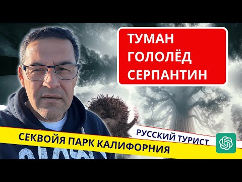 Видео: Секвойя парк Калифорния | Туман Гололед Серпантин | Сказка GPT #влог #америка #природа #секвойя #gpt