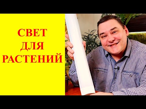 Видео: Светильники для растений: правильный выбор и расположение