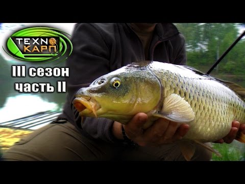 Видео: Ловля Карпа в Коряжнике весной с Технокарп  Часть 2.