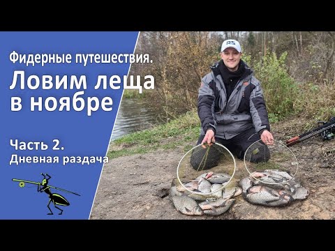 Видео: Рыбалка на фидер в ноябре. Фидерные путешествия. Часть 2. Дневная раздача! (КОНКУРС!)