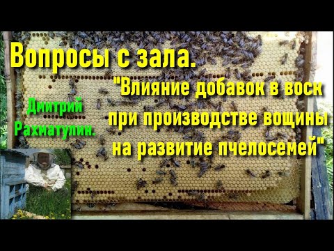 Видео: #Рахматулин Д.К. Влияние добавок в воск при производстве вощины на развитие пчелосемей