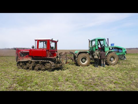 Видео: Трактора выехали бороновать поля