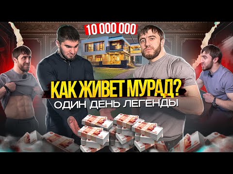 Видео: Как живёт Мурад? Хайп, Деньги, Бои и Кино. Сколько заработал?