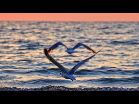 Видео: Оберег Любви