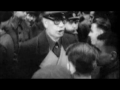 Видео: Армия Власова: миф и реальность