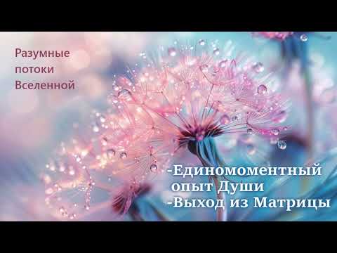 Видео: Опыт Души. Выход из Матрицы