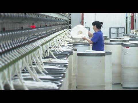 Видео: До 40% сократили производство в текстильной фабрике Шымкента