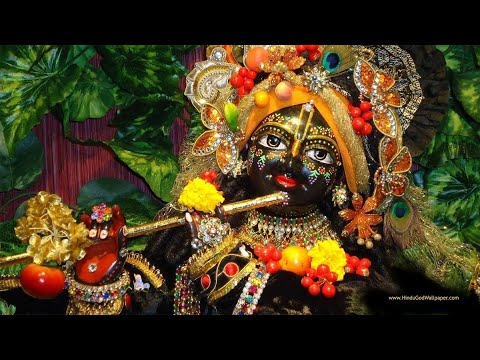 Видео: Брахма Самхита  Махатмы даса