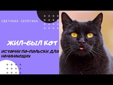 Видео: Польский для начинающих. Жил-был Kот. Изучай польский язык, слушая истории.
