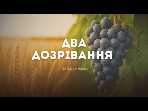 Видео: "Два дозрівання" | Демчина Микола
