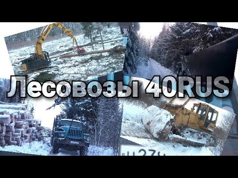 Видео: Зимний день в лесу. Работа Лесовоза. Комплекс пилит. #РаботаВодителем