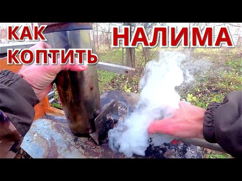 Видео: КОПЧЁНЫЙ НАЛИМ. Универсальная КОПТИЛЬНЯ. Как я копчу рыбу.