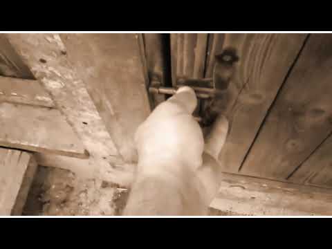 Видео: Кашель у коз, яблочный сок вместо молока..