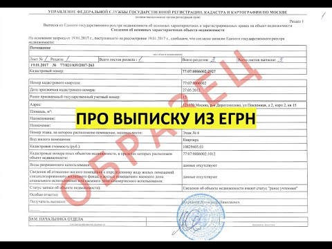 Видео: Что за выписка ЕГРН