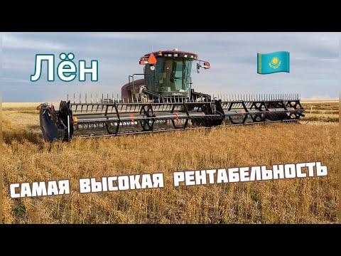 Видео: Лен дал в 2 раза больше экономики, чем пшеница