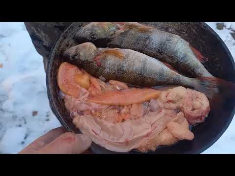 Видео: Глубокая осень. Рыбалка и охота.