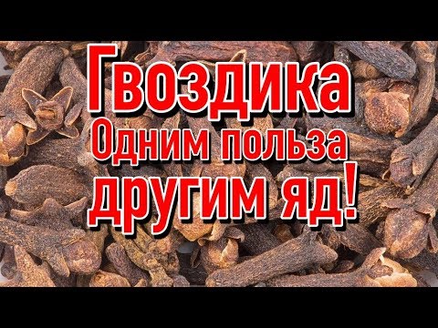 Видео: Польза и вред Гвоздики | Почему нельзя принимать гвоздику?