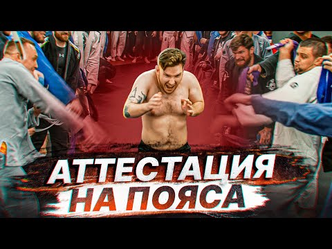 Видео: КАК ПРОХОДИТ АТТЕСТАЦИЯ НА ПОЯСА В БЖЖ?